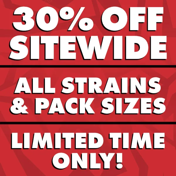 Flash Sale