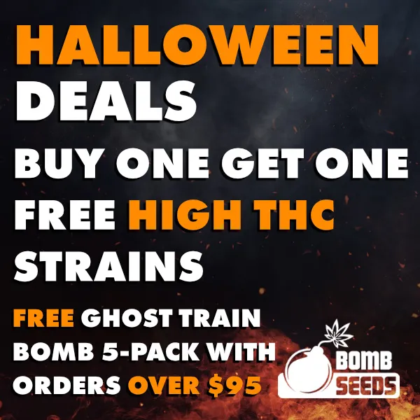 Halloween Sale
