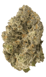 Runtz Bomb Feminized Seeds Bud