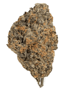 Ice Bomb Feminized Seeds Bud