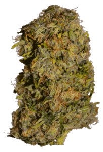 Cluster Bomb Regular Seeds Bud