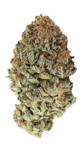 Bubble Bomb Feminized Seeds Bud