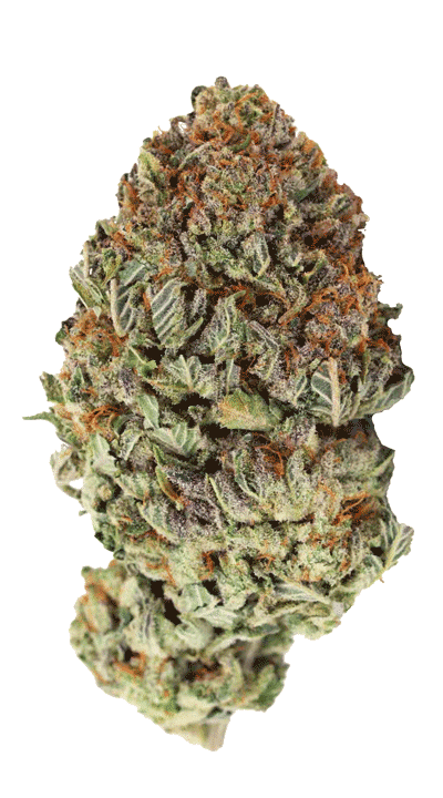 bubble-bomb-bud Bubble Bomb Bud