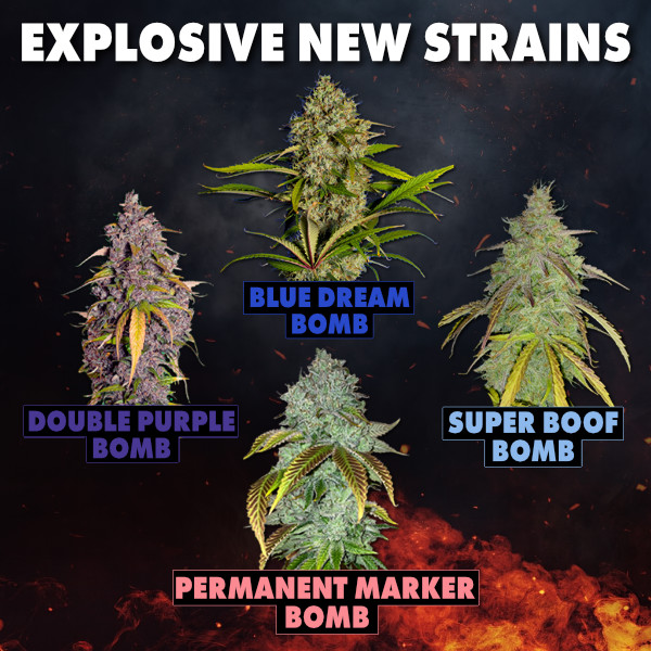 New Strains